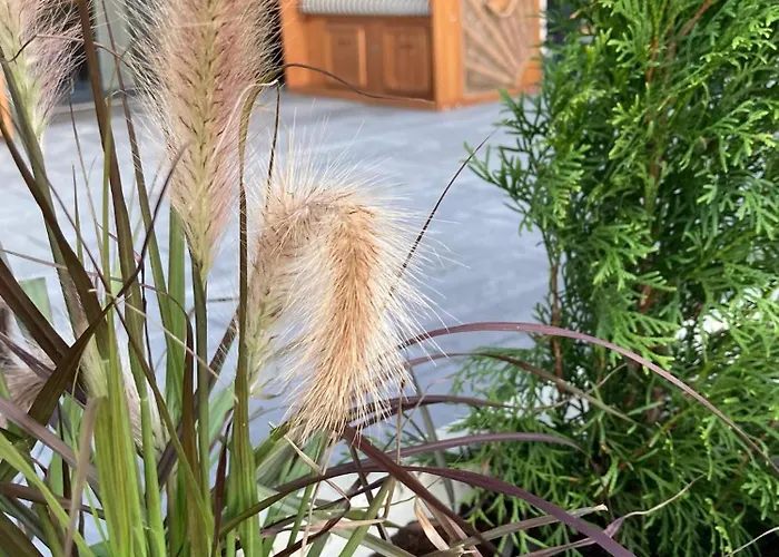 Parasol - Baltic Relax - Pool, Jacuzzi, Sauna Dziwnów