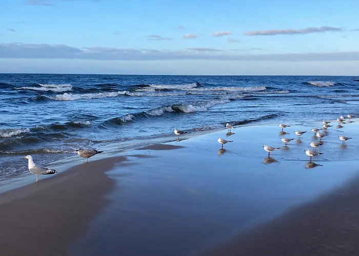 Parasol - Baltic Relax - Pool, Jacuzzi, Sauna Lejlighed Dziwnów